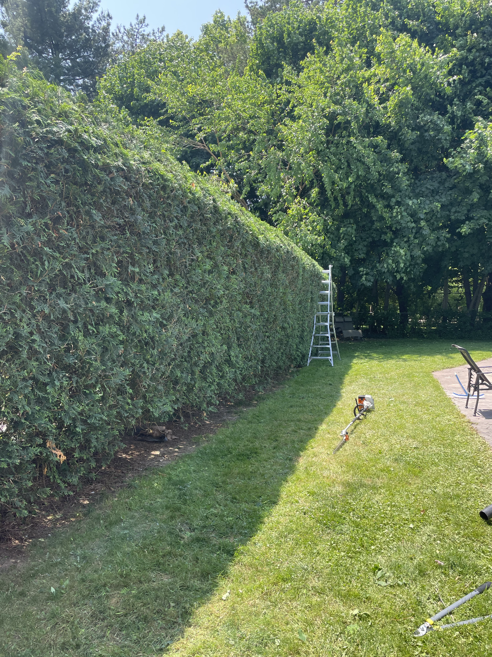 Screenshot 2025-06-22 at 4.28.25 PM